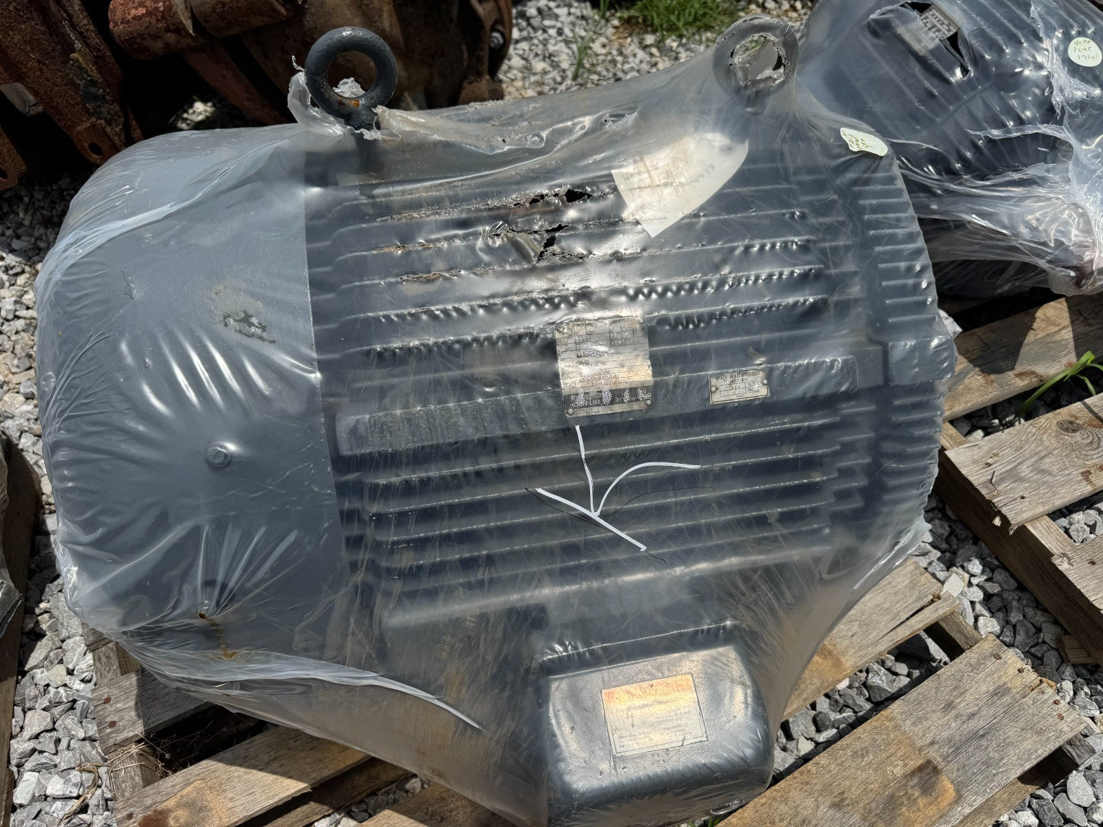 45500361
