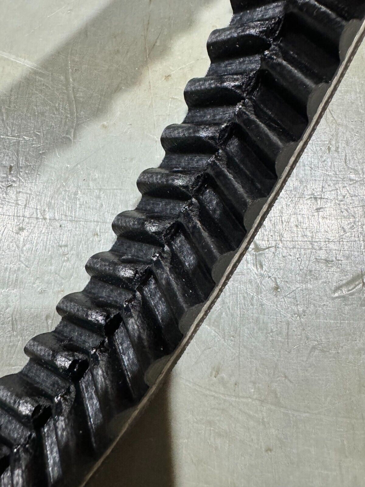 NEW IN BOX CONTINENTAL CONITECH SilentSync SYNCHRONOUS BELT B-1960