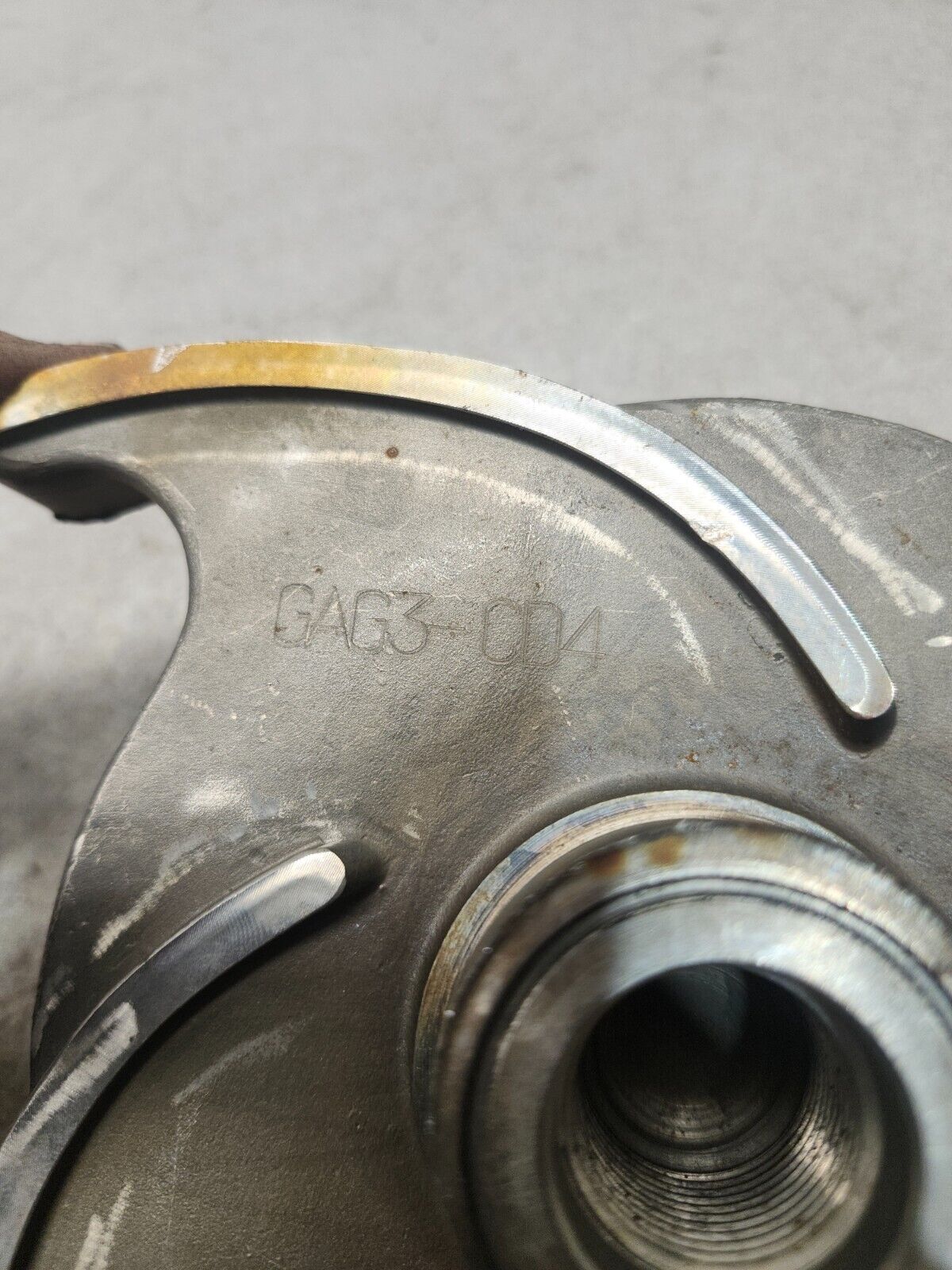 44029446