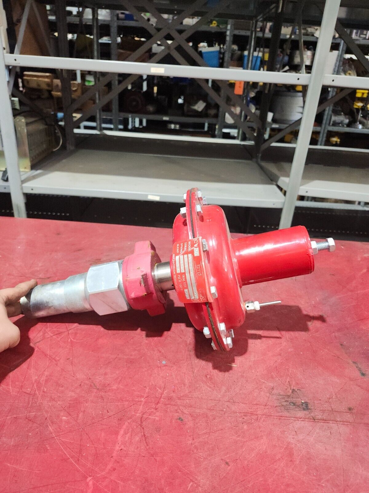 NEW NO BOX BEAUMONT NO-FREEZ DUMP VALVE R33-CB-40