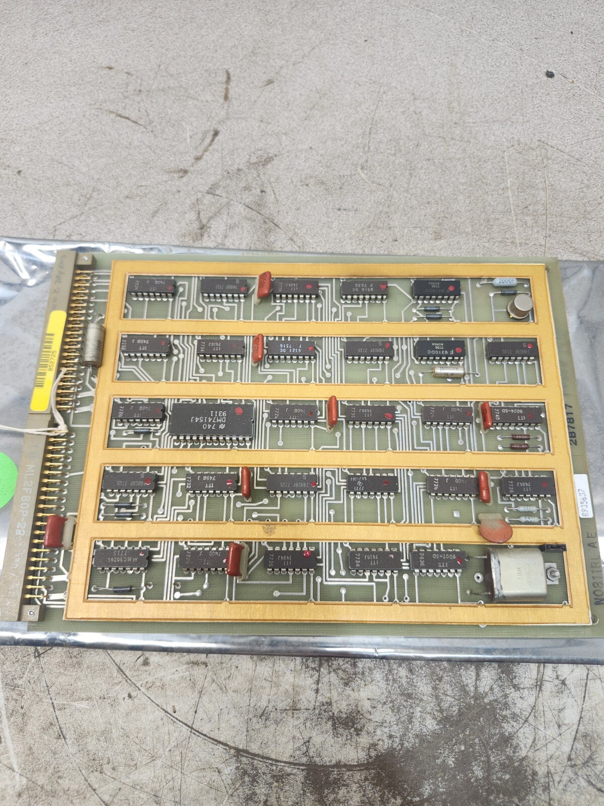 45000561