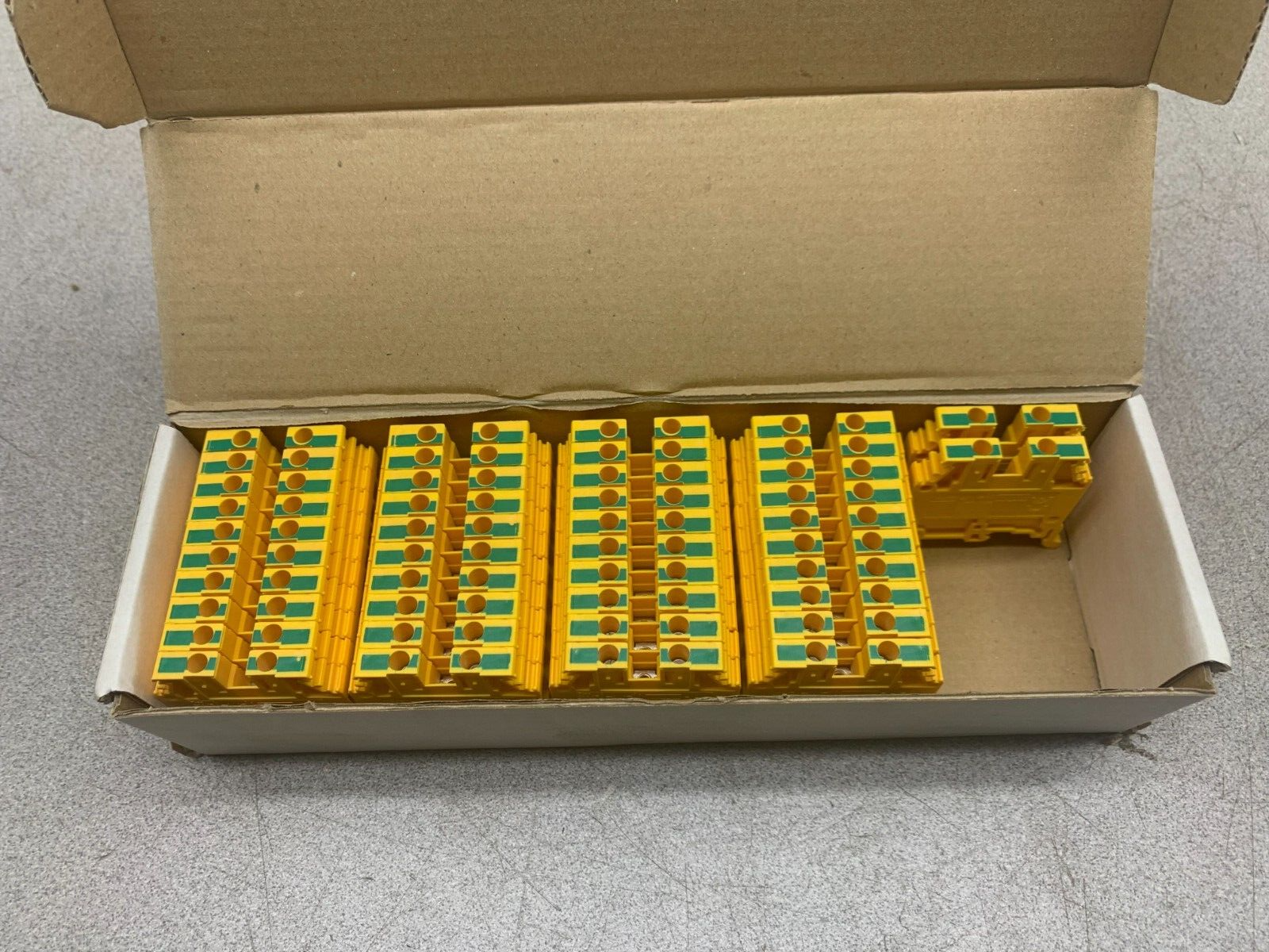 45681863