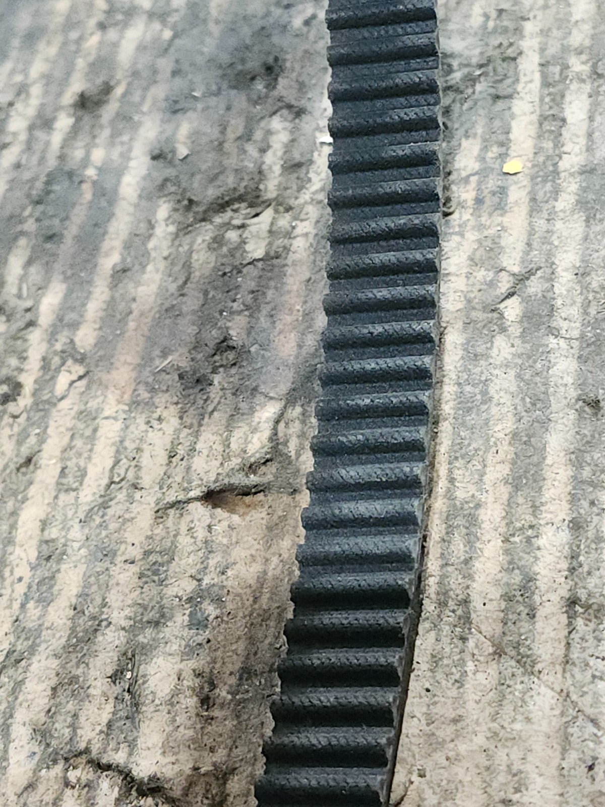 47541756