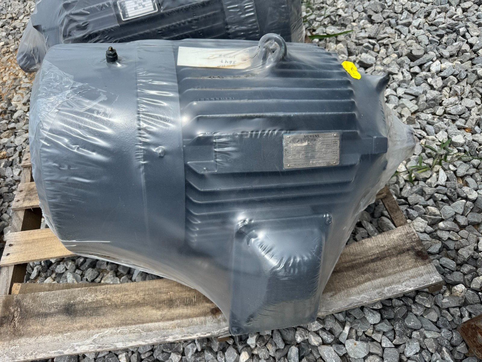 45500926