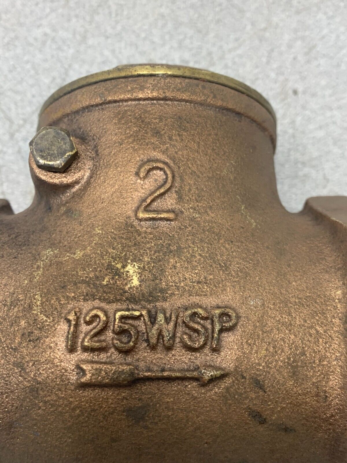 NEW NO BOX A 2" BRASS SWING CHECK VALVE 125WSP