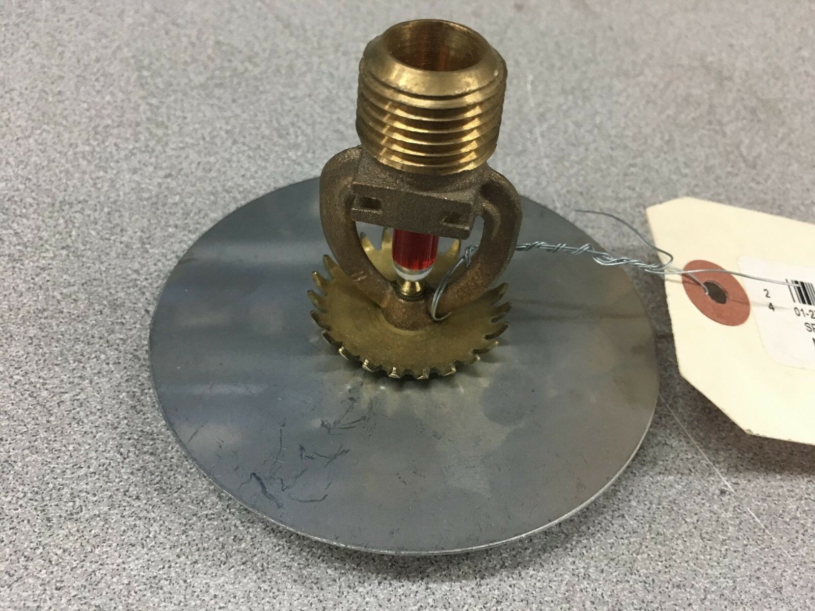 NEW NO BOX SPRINKLER 54