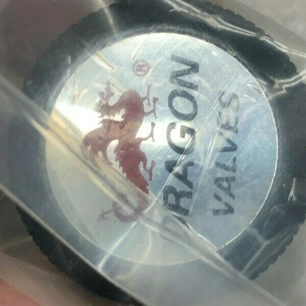 NEW NO BOX DRAGON VALVE 3053T