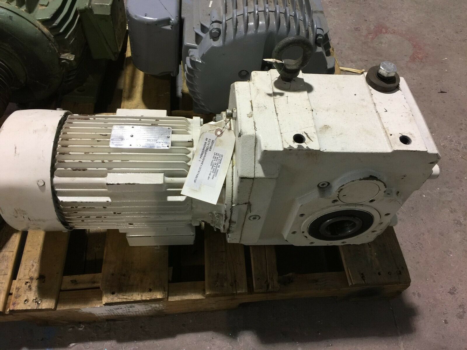 NEW NO BOX 240/480VAC 19/11AMPS 5.5KW MOTOR 49.55:1 ANGLED GEARBOX K21V 132 84 K