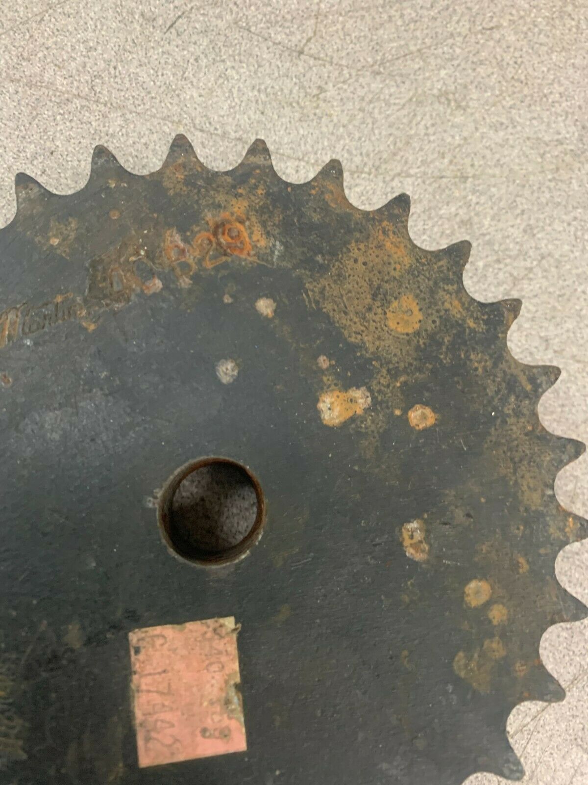 NEW MARTIN CHAIN SPROCKET 40B29