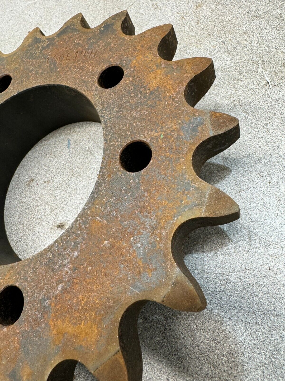 NEW MARTIN CHAIN SPROCKET 100E19H