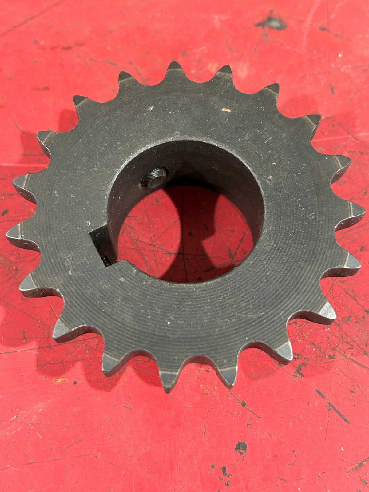 45030495