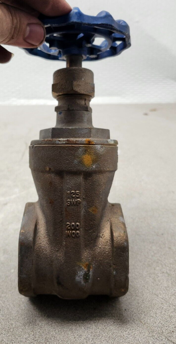 NEW Nibco Full Port Brass Gate Valve 2'' 125 3WP 200 WOG T-113