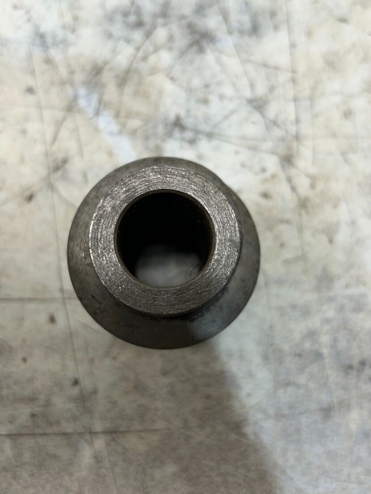 44464081