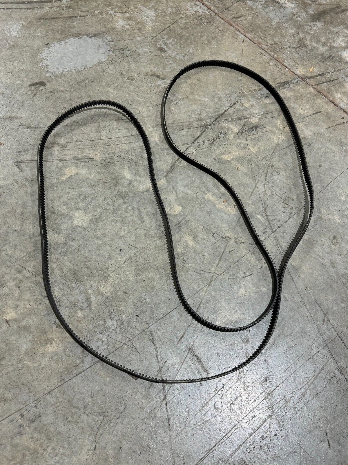 NEW CONTINENTAL CONTITECH FALCON TIMING BELT 8GTR-4480-21