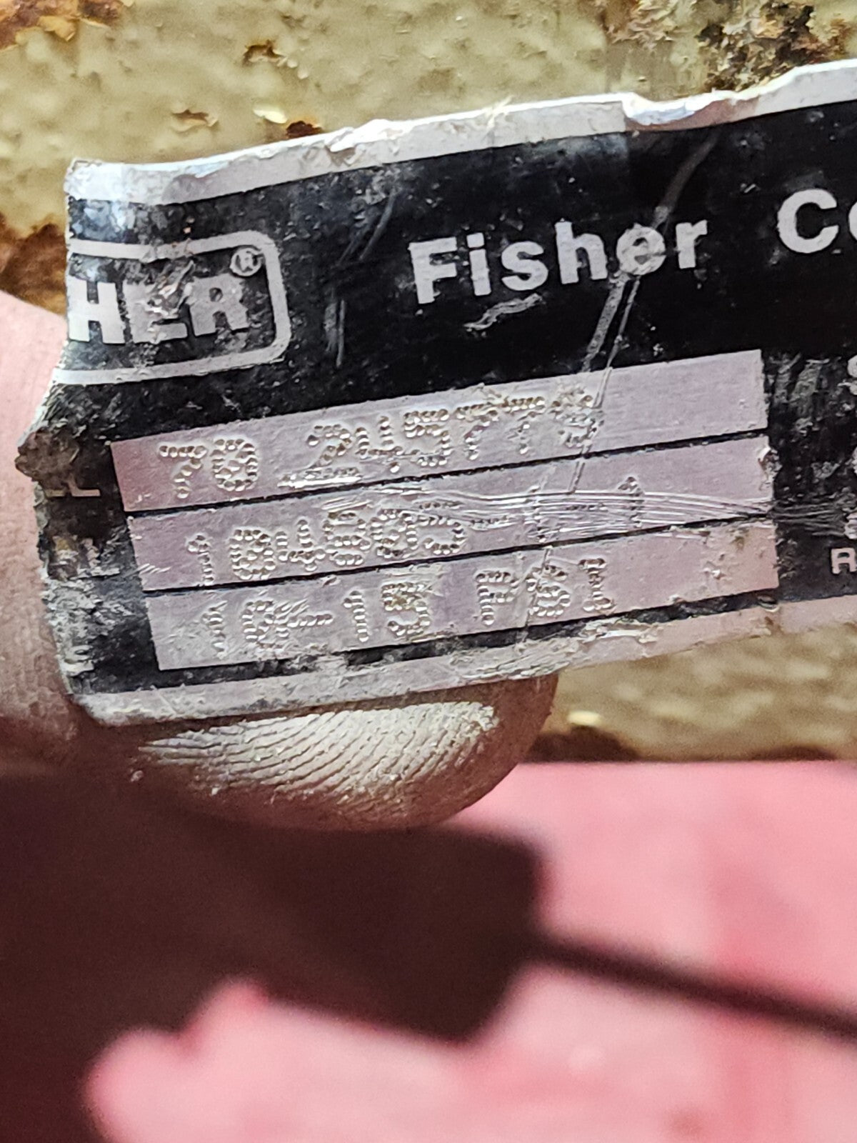 45387204