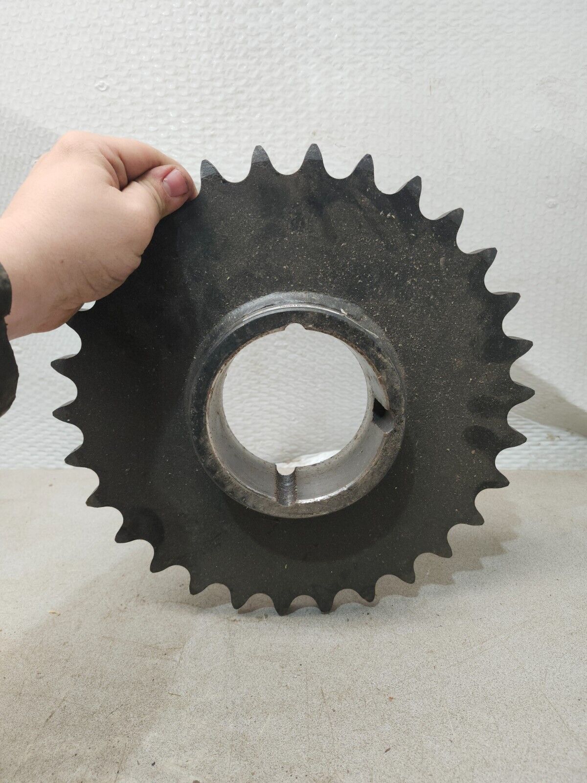 43748664