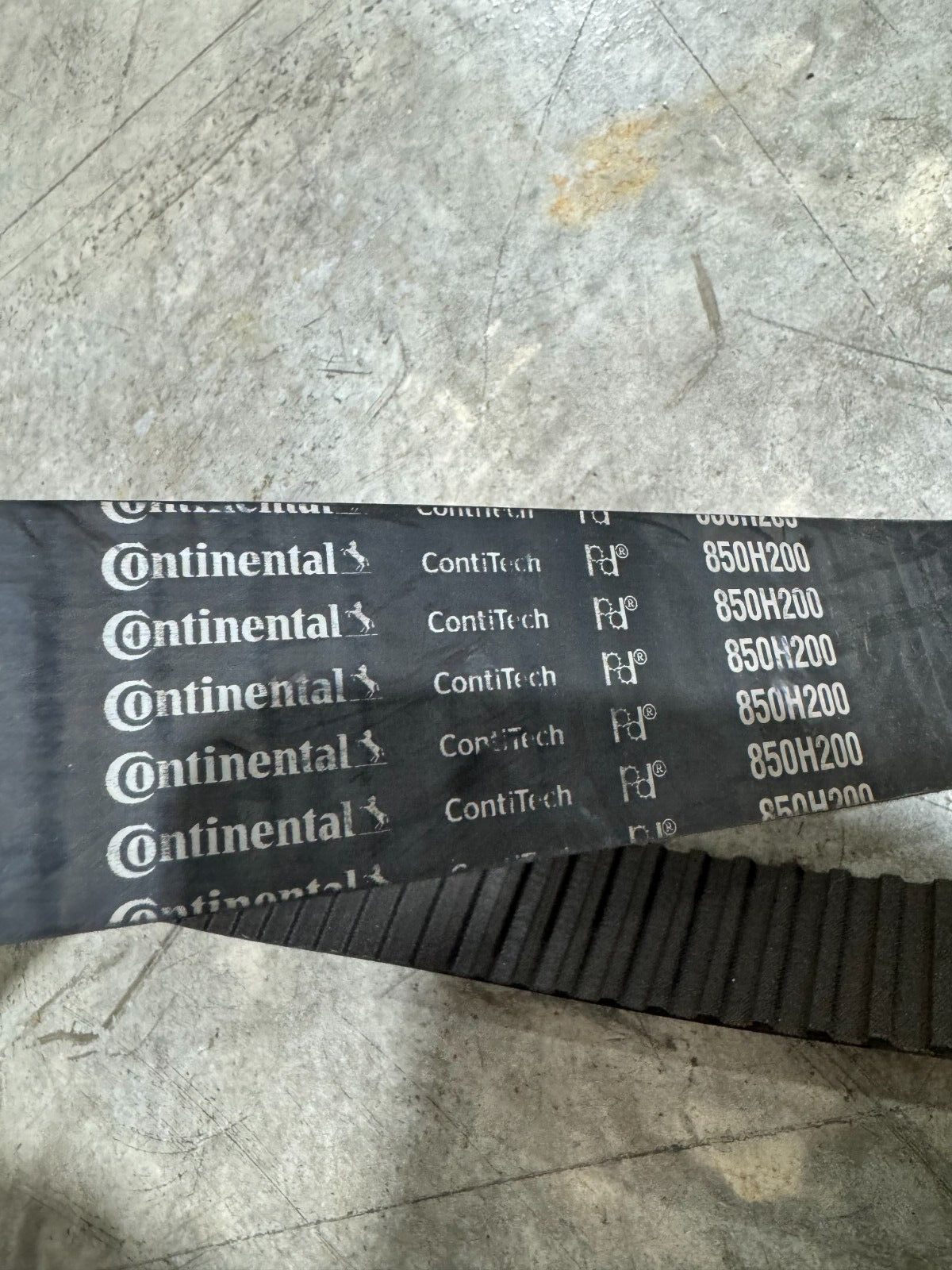 NEW CONTINENTAL CONTITECH TIMING BELT 850H200