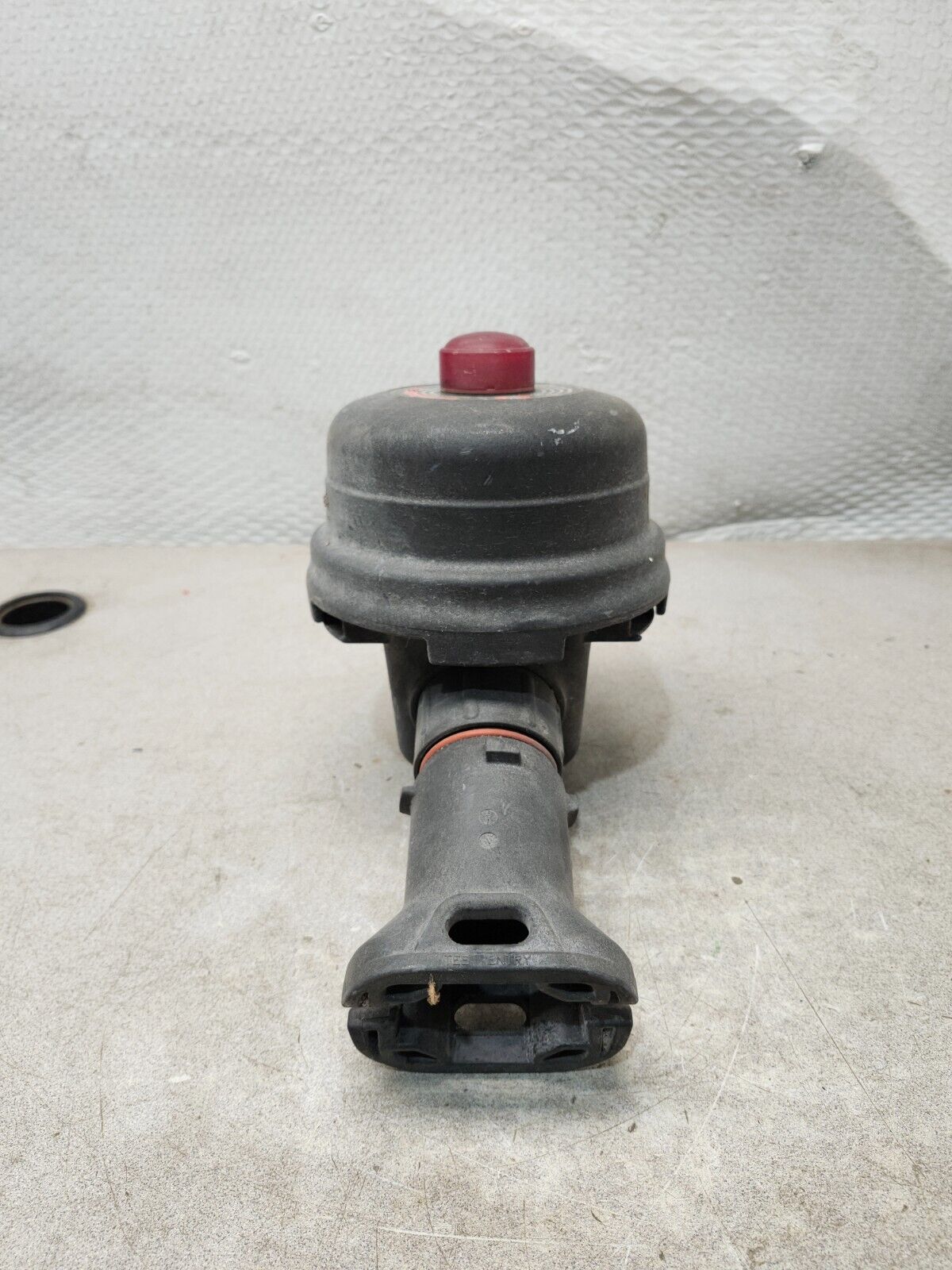 44029384