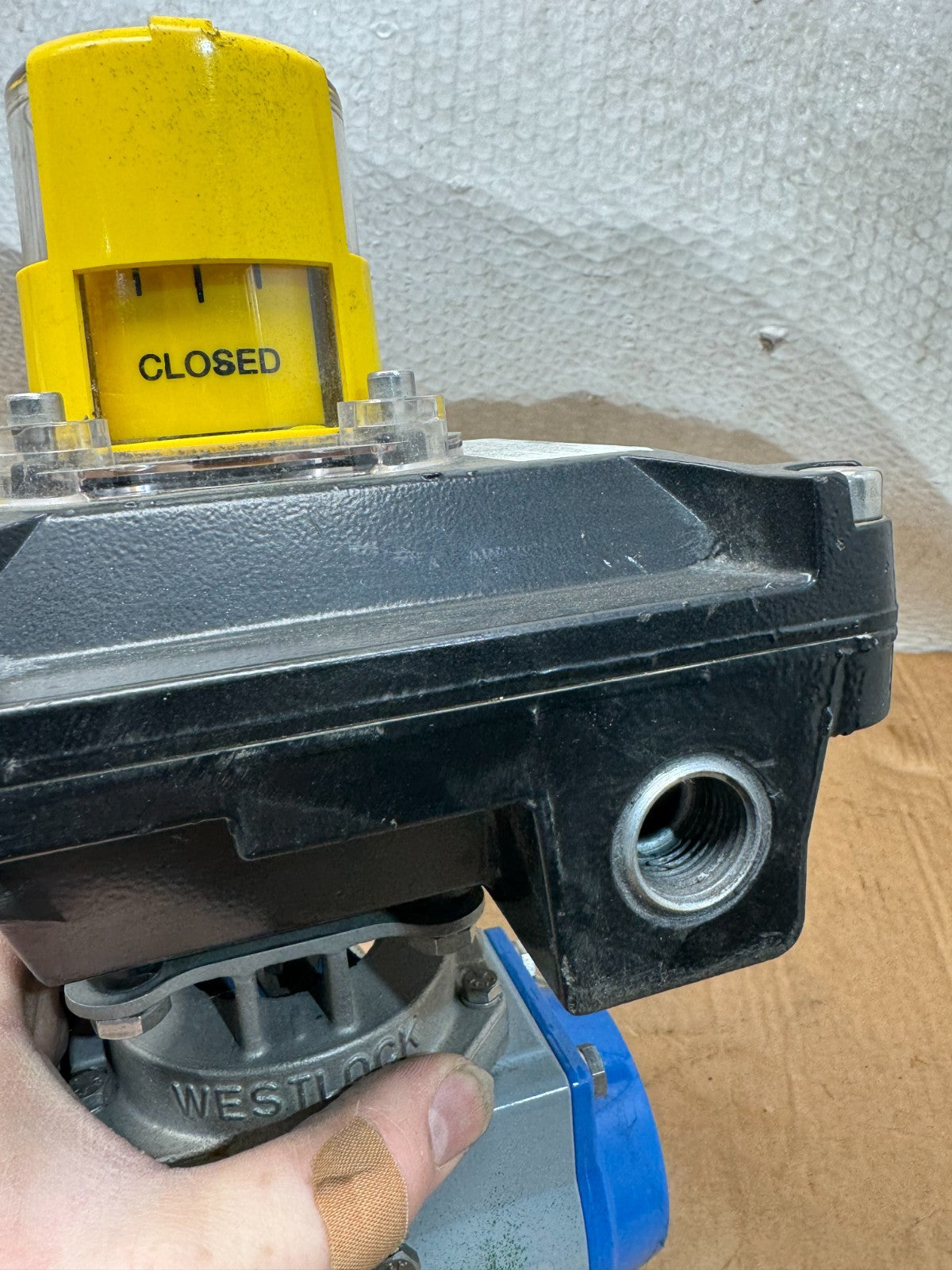 47501924