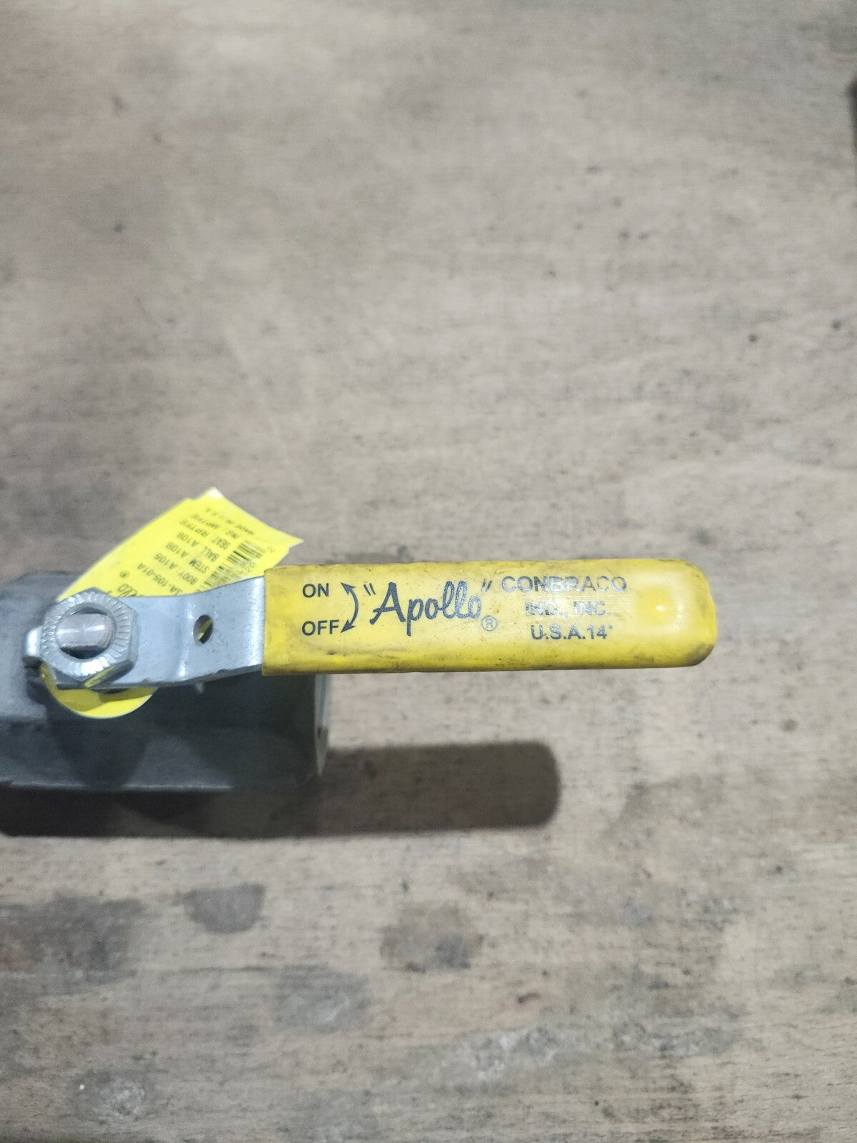 44547302