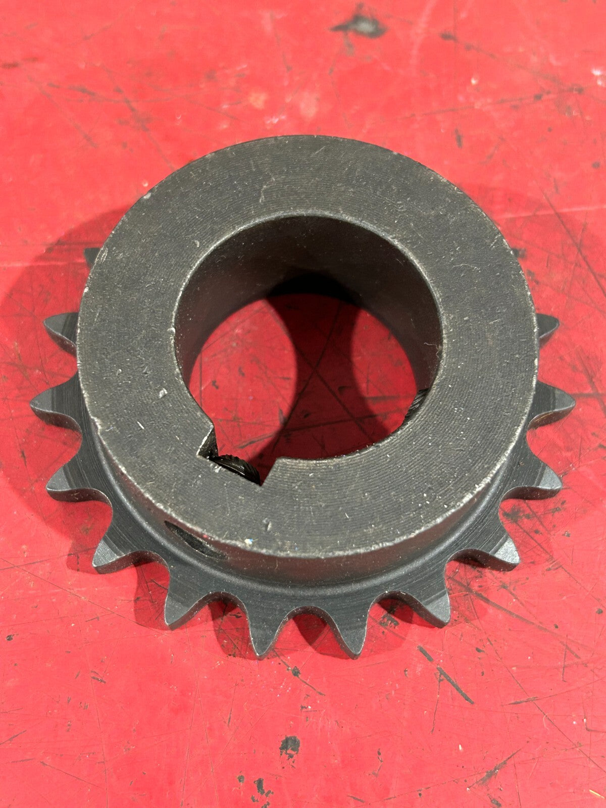 45030495