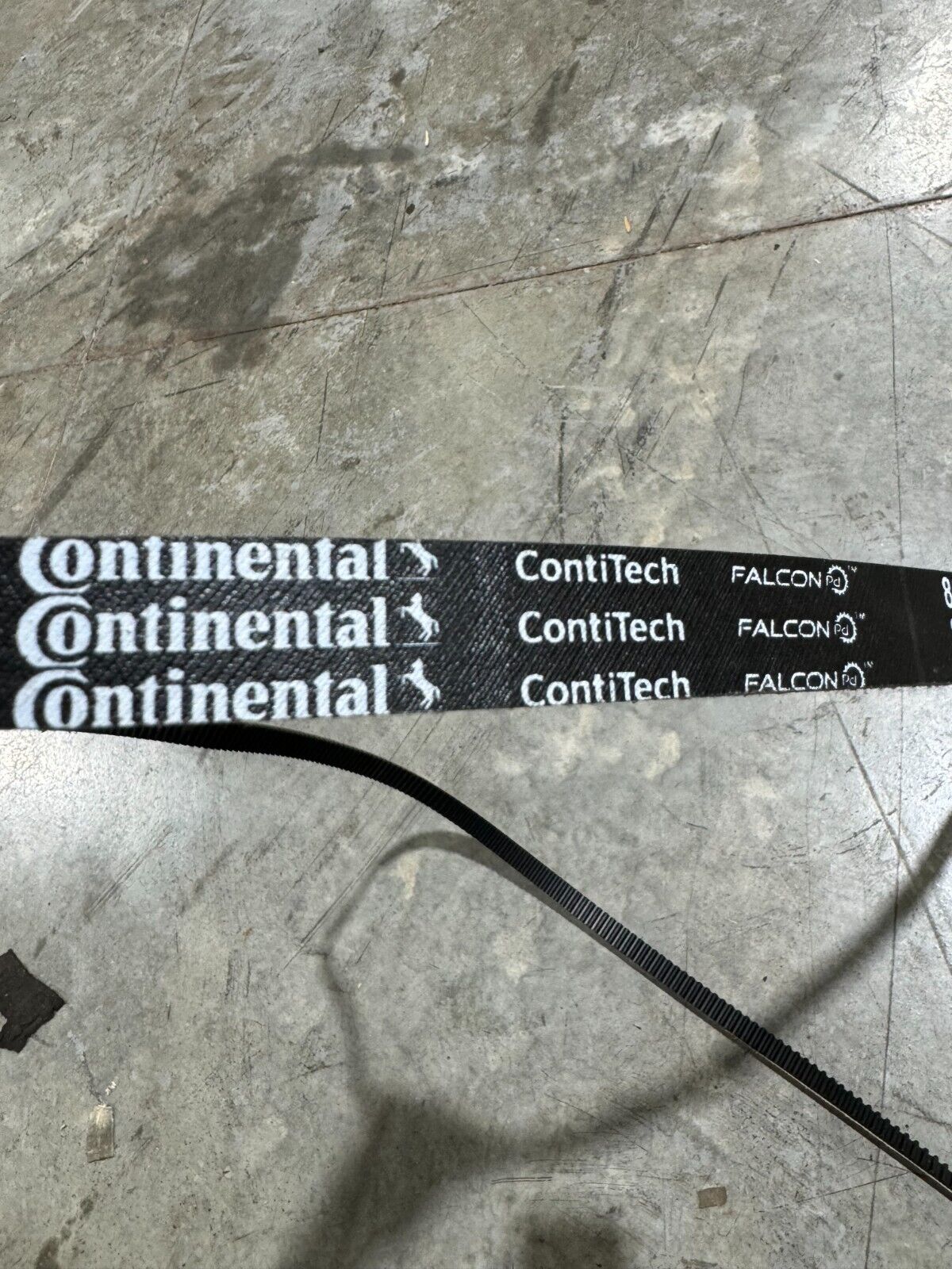 NEW CONTINENTAL CONTITECH FALCON TIMING BELT 8GTR-4480-21