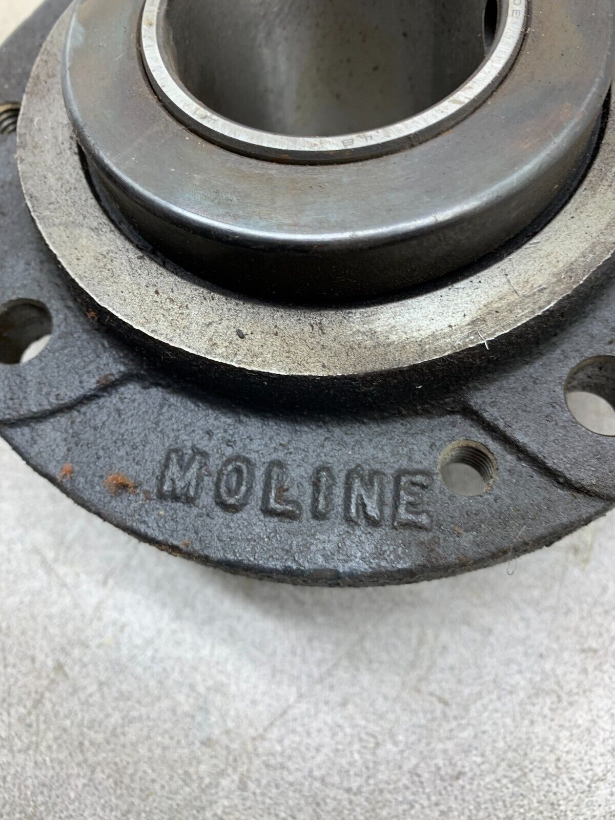 NEW MOLINE 4-BOLT TYPE-E FLANGE CARTRIDGE BEARING 2" BORE 113-01-115