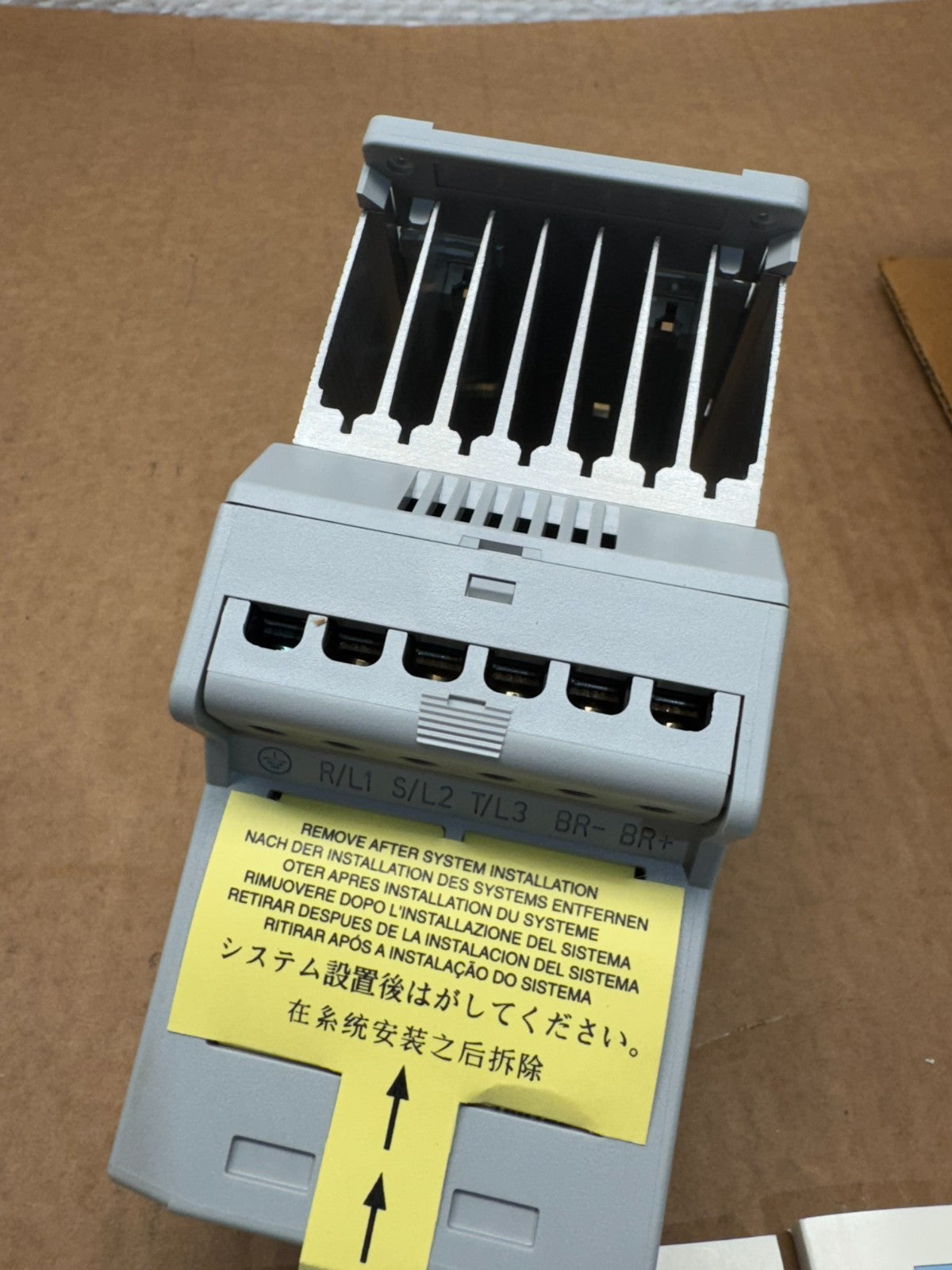 45396561