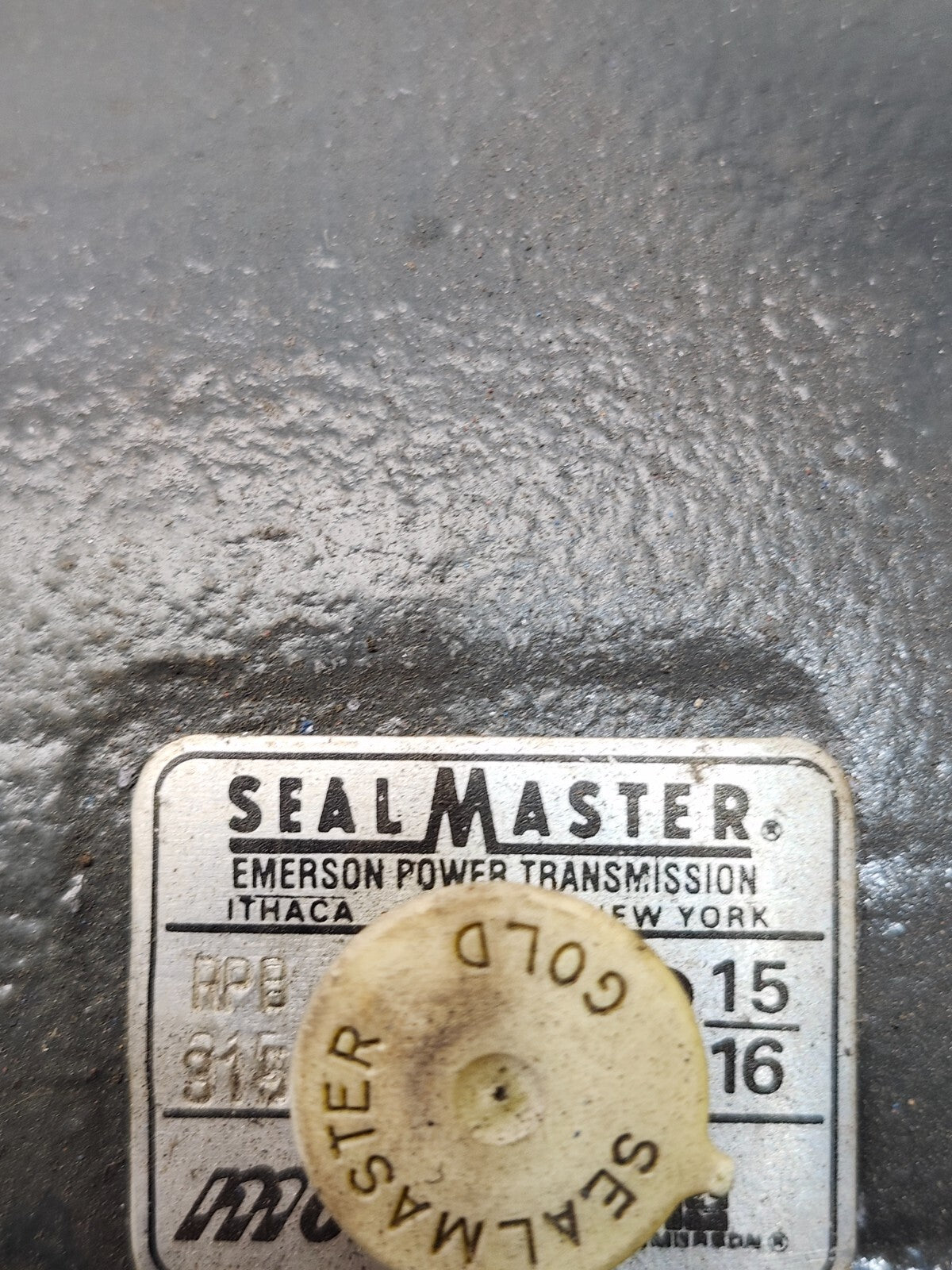 44943738