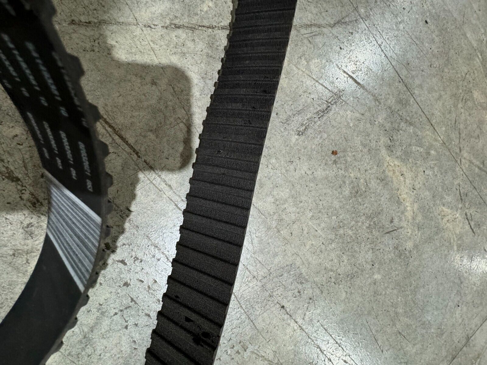 NEW CONTINENTAL CONTITECH TIMING BELT 800H200