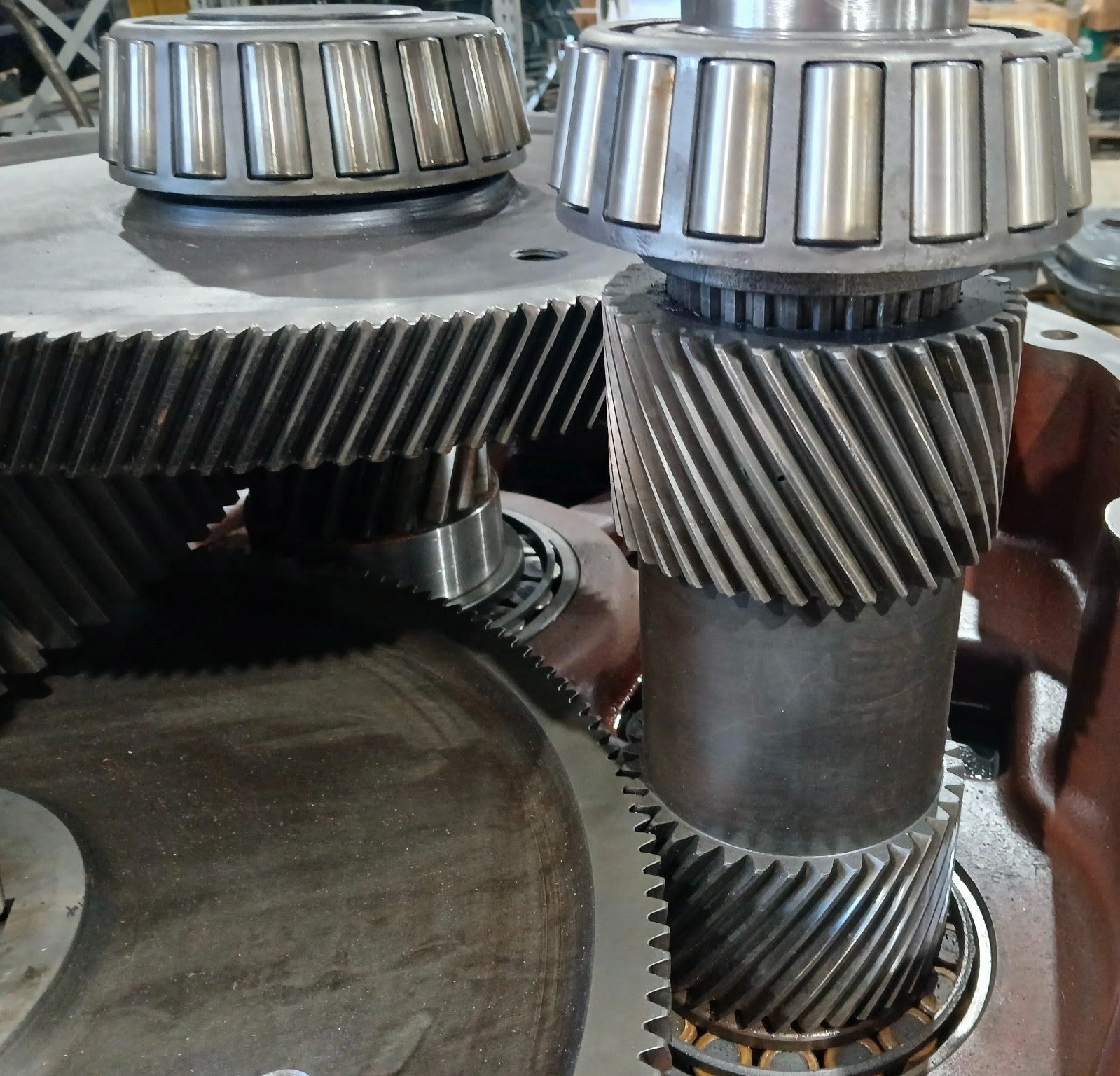 45526400