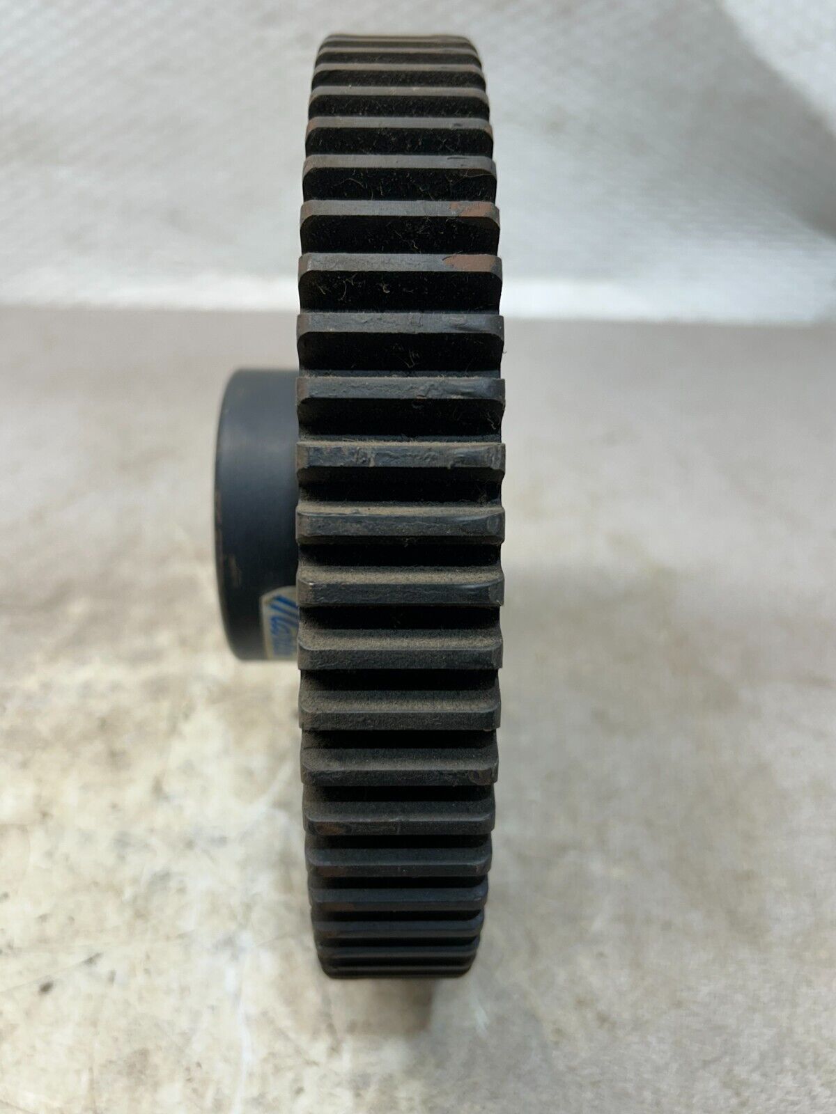 44300981