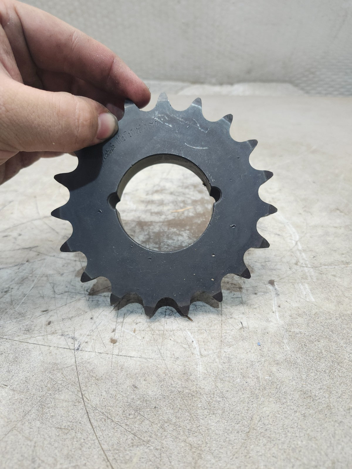 45256204