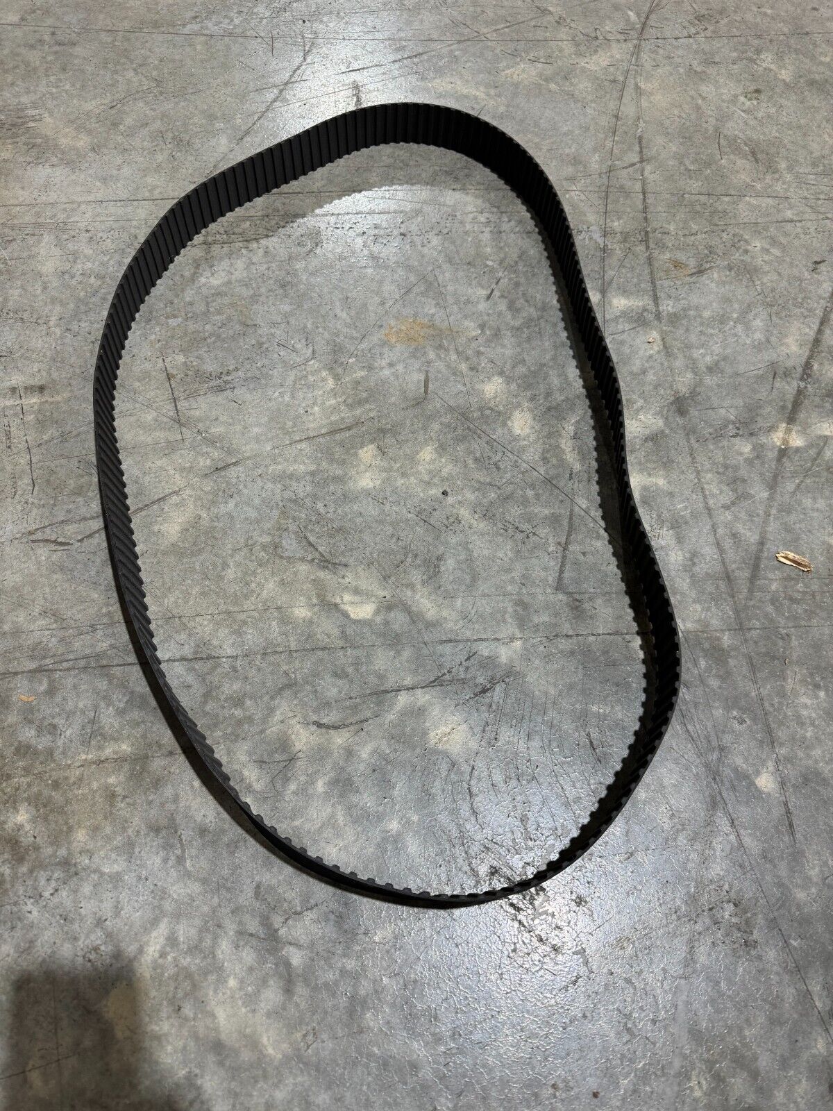 NEW CONTINENTAL CONTITECH TIMING BELT 850H200