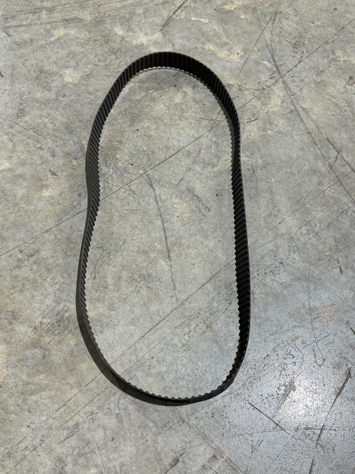 NEW CONTINENTAL CONTITECH TIMING BELT 800H200