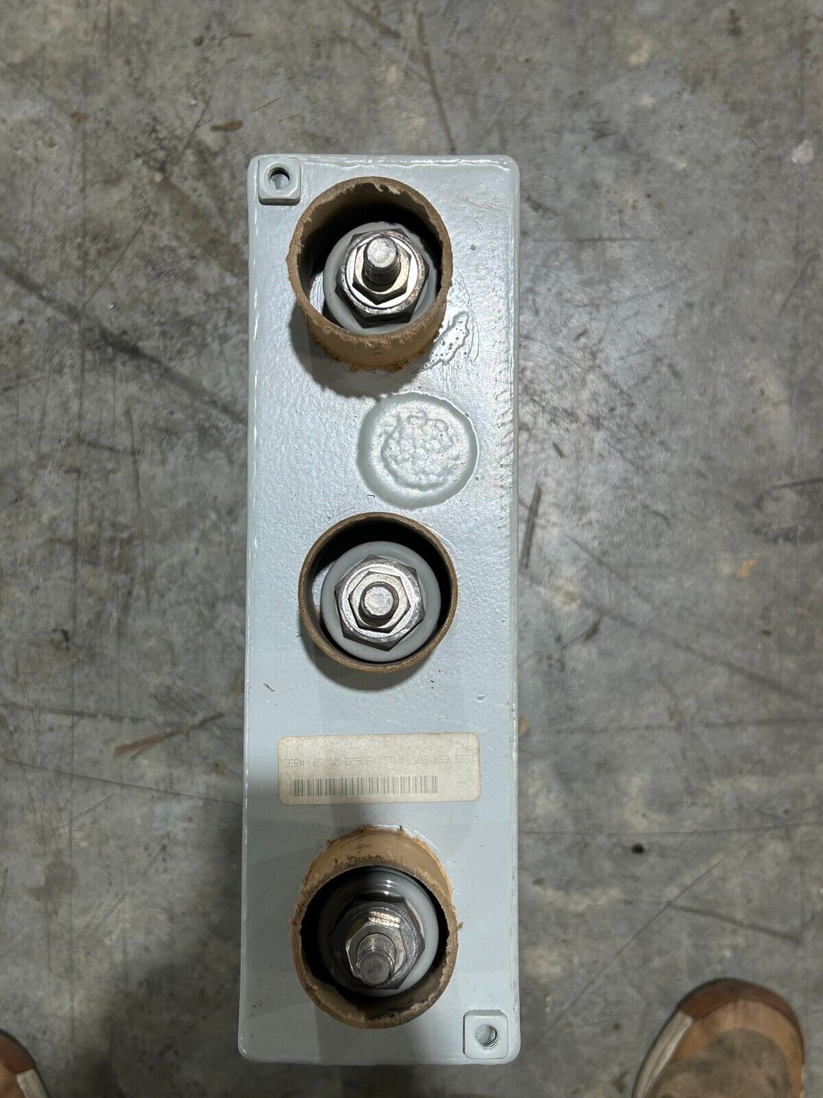 44281561
