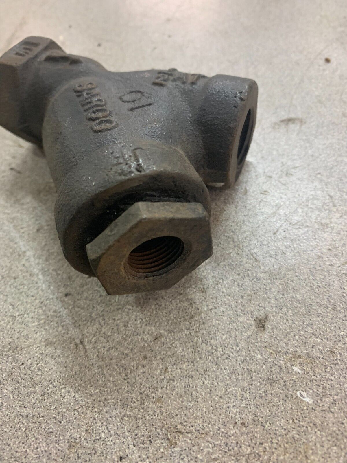 NEW NO BOX SARCO 250 1/2" Y-STRAINER