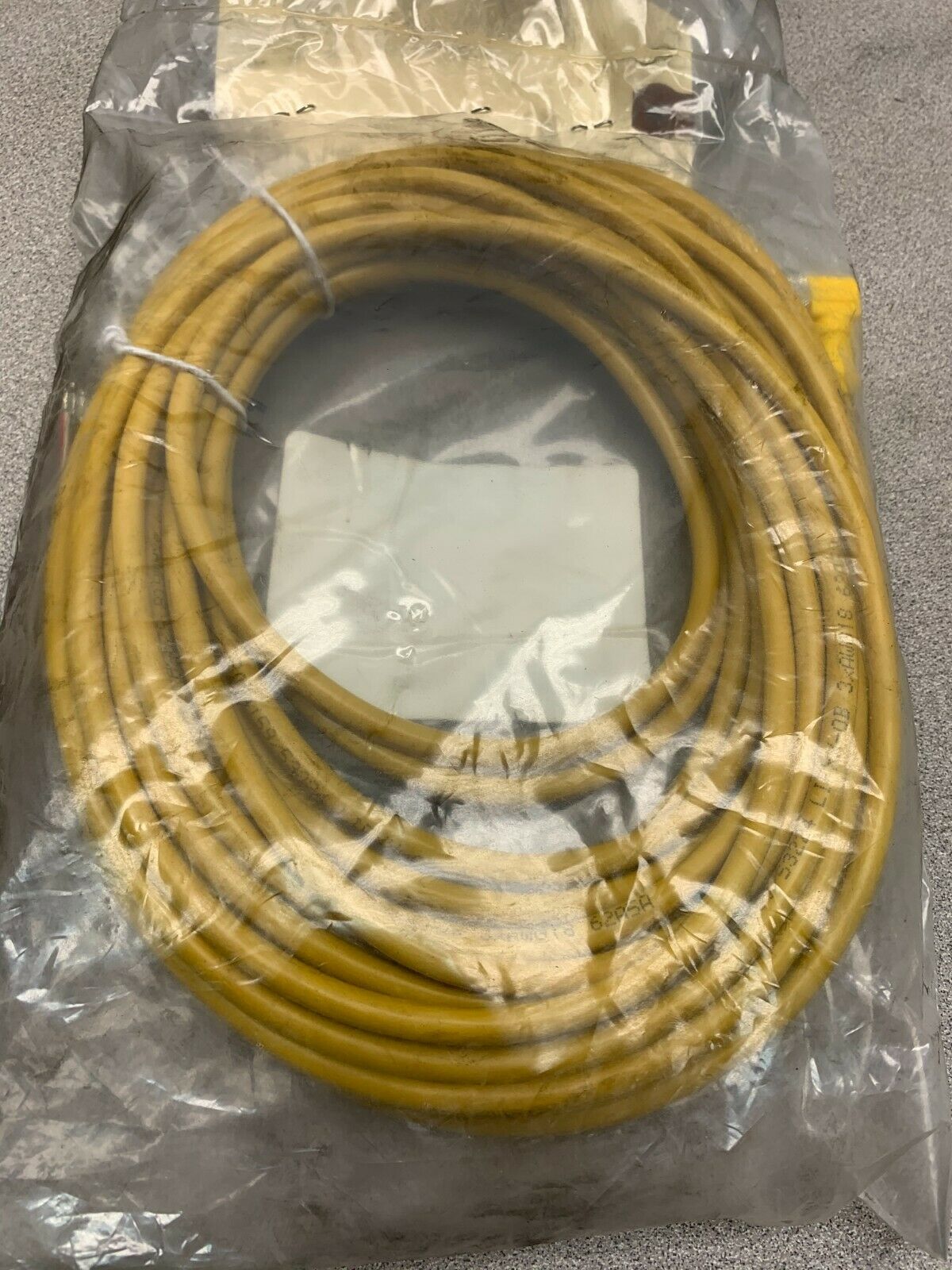 NEW IN BAG TURCK CORDSET WKB 3T-10/XOR