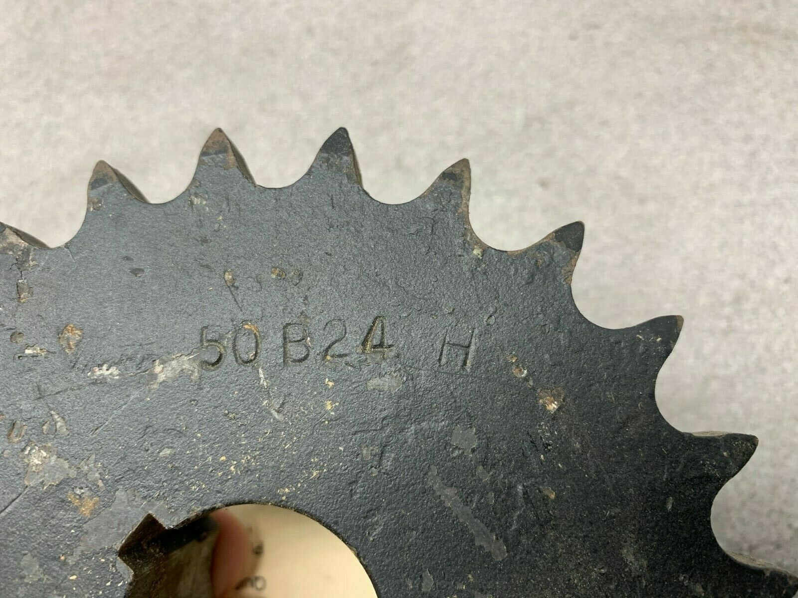 NEW NO BOX MARTIN 1-1/4" CHAIN SPROCKET 50B24H