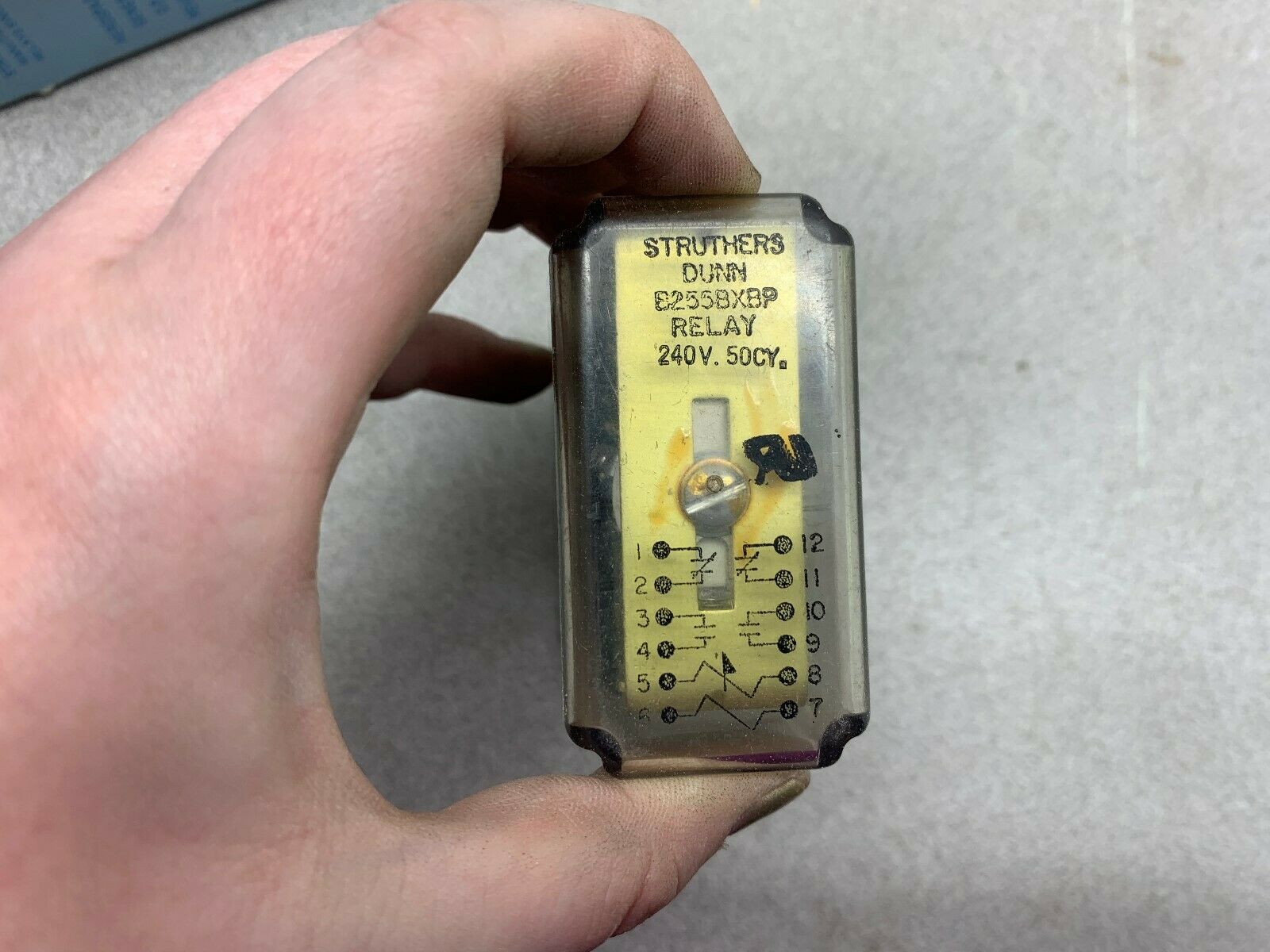 NEW IN BOX STRUTHERS & DUNN RELAY B255BXBP