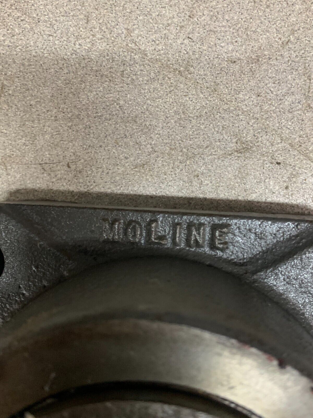 NEW NO BOX MOLINE 4-BOLT FLANGE BEARING 1-1/2" BORE 22150DE INSERT 111-01-111