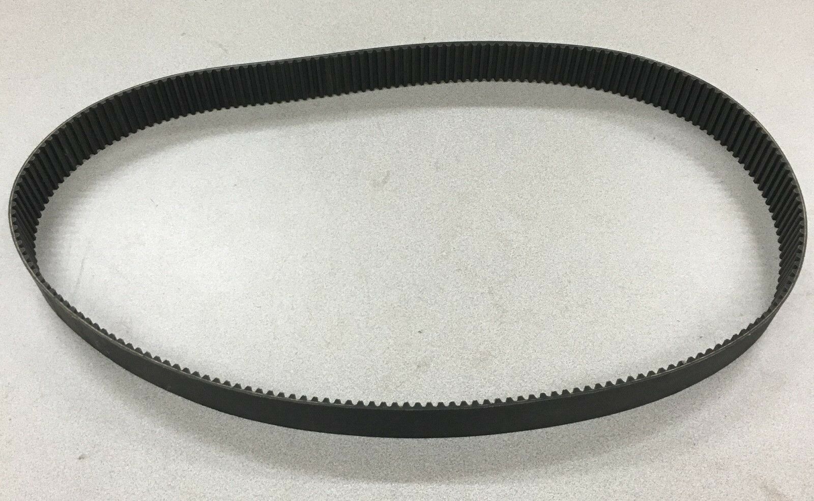 NEW NO BOX GOODYEAR WHITEHAWK TIMING BELT 1600-8MWH-50